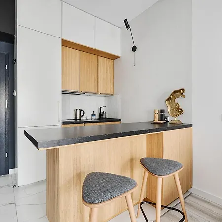 Aparthouse Piotrkowska Apartment Lodz
