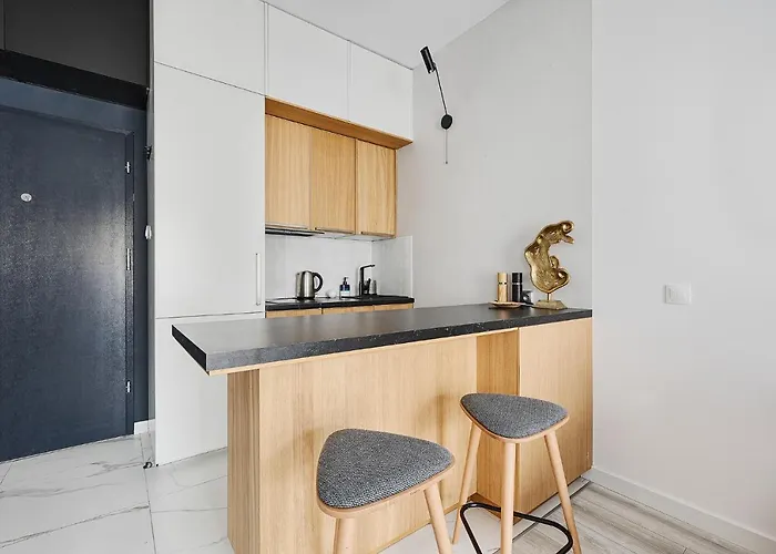 Aparthouse Piotrkowska Апартаменты Лодзь